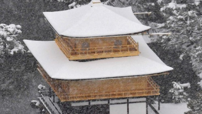 Виж снежния ужас в Япония, покривката е над 2,5 метра (ВИДЕО)