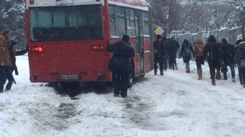 Касапница във Варненско! Жена заби колата си в  автобус, пълен с деца и загина на място 