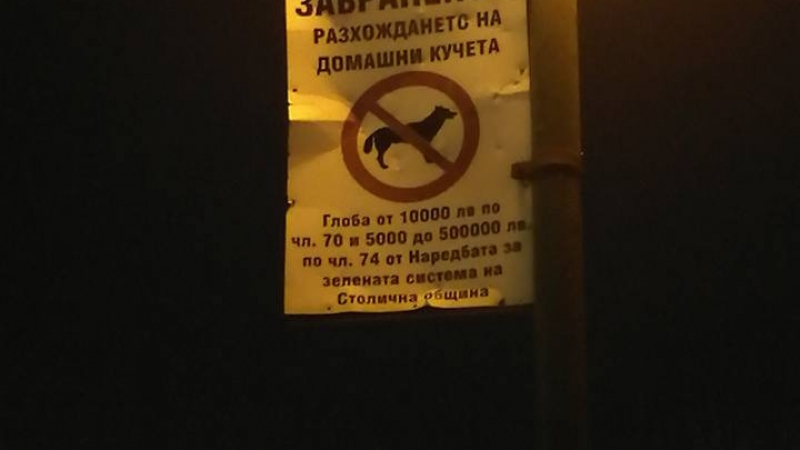 В София искат 500 000 лева глоба за разходка на куче!