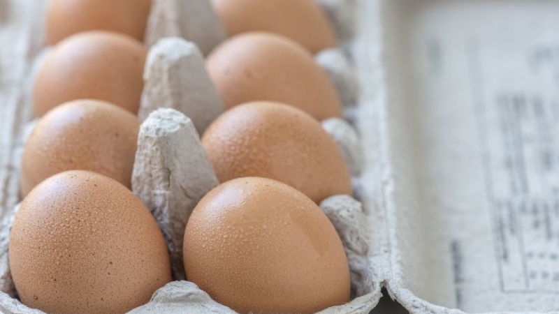 Атанаска чукна яйце от домашна кокошка и изпадна в шок, когато в него откри... СНИМКА