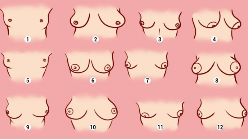 Тест: Формата на женските гърди издава характера на стопанката им