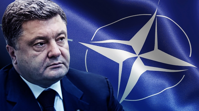 Украйна изобщо не е нужна на НАТО, признават от Брюксел