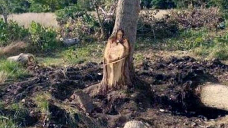 Знамение: Ликът на Исус Христос се появи върху ствол на дърво (ВИДЕО)