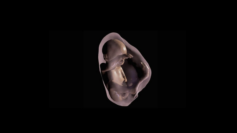 Пробив!Китайка роди здраво бебе от ембрион, замразен преди 16 години 