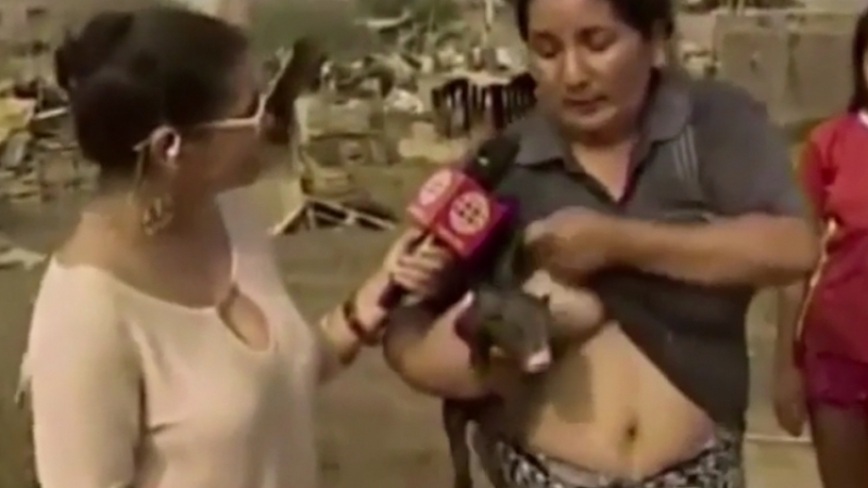 Жена втрещи репортери: Започна да кърми прасе по време на интервю (ВИДЕО)