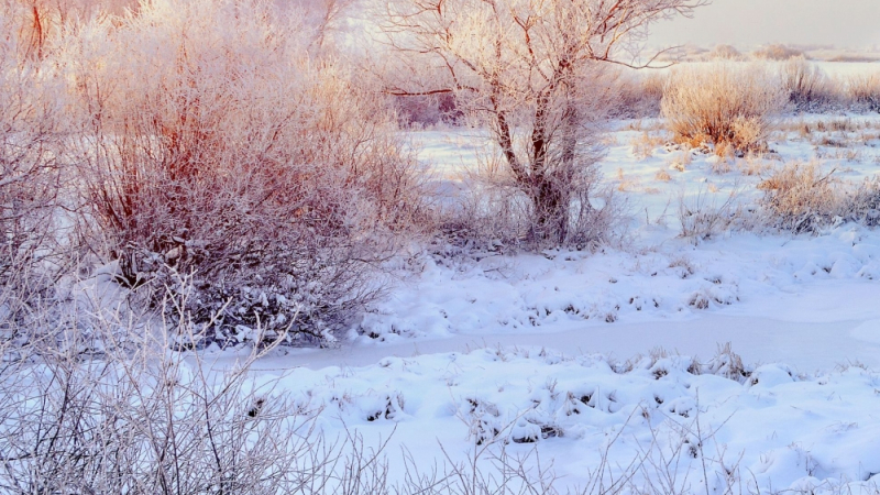 Синоптичката Анастасия Стойчева ни поля със студен душ: Градусите падат до минус 15