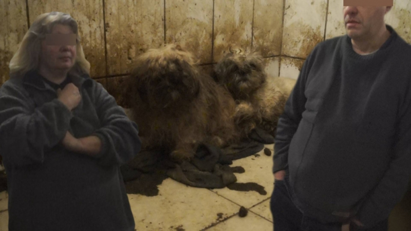 Може би тук се е родило и вашето куче! Ужасяващи кадри от развъдник за скъпи породи (СНИМКИ 18+)