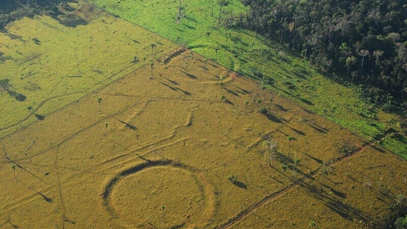 Мистерия за археолозите! Амазонските джунгли хиляди години таят гигантски геоглифи