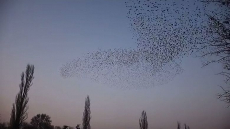 Ванко засне нещо уникално, случващо се в небето над Асеновград (ВИДЕО)