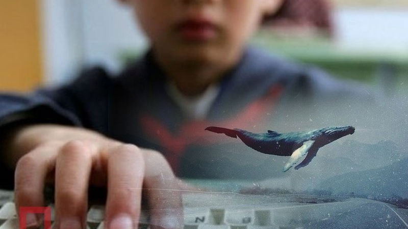Психоложка разкри кои деца са най-застрашени от зловещата игра "Синият кит"