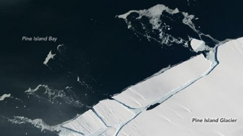 Айсберг с размерите на Манхатън се откъсна от Антарктида