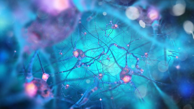 Учените откриха доказателство, че невроните могат да комуникират по начин, за който не сме подозирали
