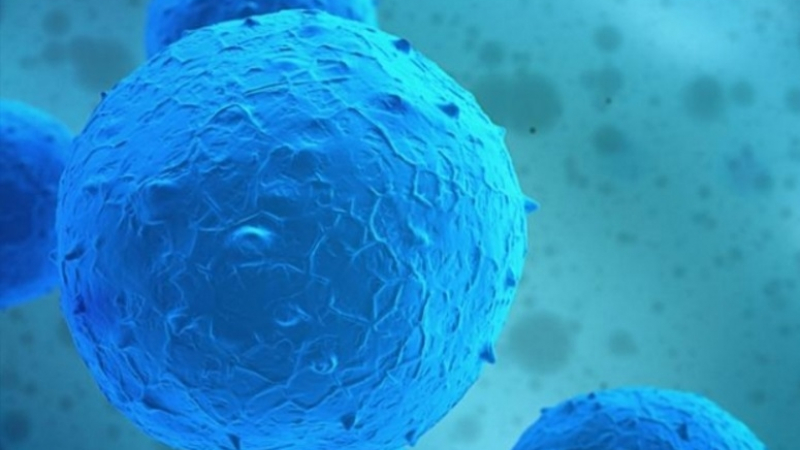 Учени от Imperial College London: Трансплантация на стволови клетки може да „замрази“ множествената склероза