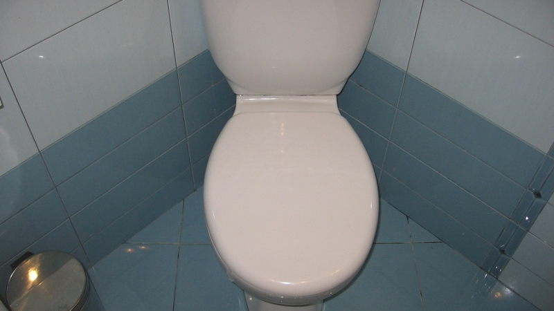 Куриозна кражба: Задигнаха тоалетна чиния и казанче от паркинг в Берковица 
