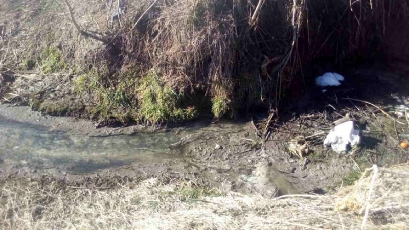 Гнусна екобомба цъка край пловдивско село