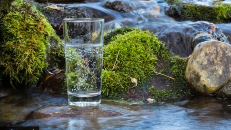 Минерална или изворна вода? Експертите съветват какво да изберем?