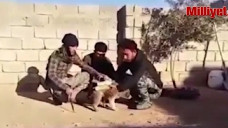"Ислямска държава" започна да използва кучета за "живи бомби" (ВИДЕО)