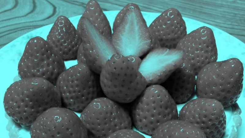 Нова яростна полемика в Интернет: Какъв цвят са тези ягоди, снимани от японски професор?