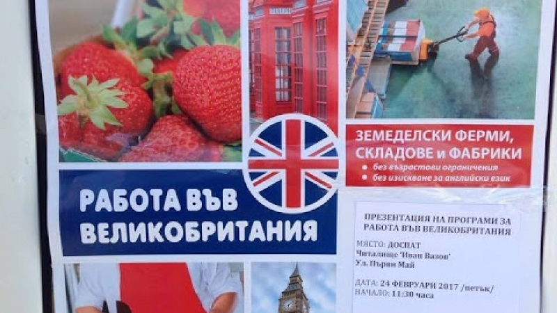 Брекзит, не Брекзит: Британци зарибяват родопчани за работа на Острова с оферти „15 000 паунда за година”