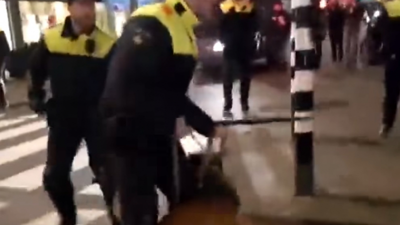 Протурски протестиращи се биха с полицията на Нидерландия (ВИДЕО)