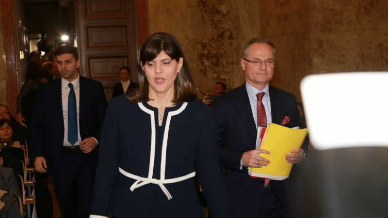 Стана ясно какво изяде главата на скандалната Лаура Кьовеши, румънците в шок (ДОКУМЕНТ)