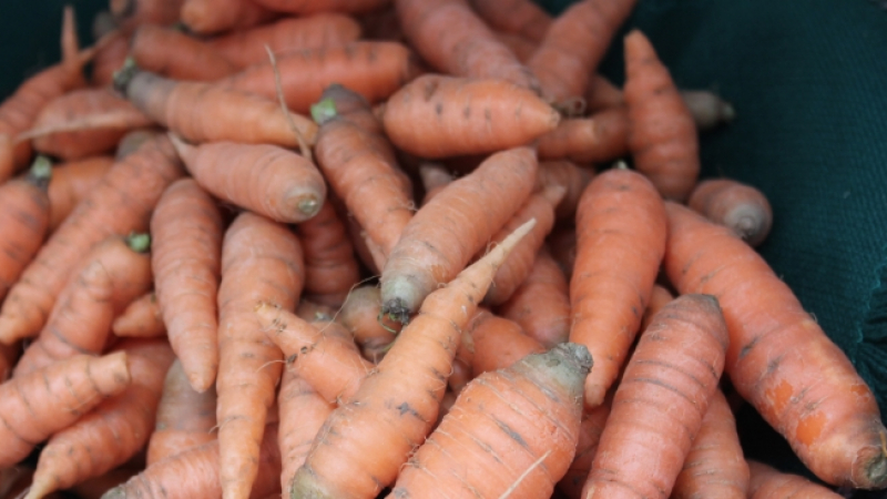 Официално от ДКСБТ: Домати и моркови поскъпват, ябълки и картофи с по-ниски цени