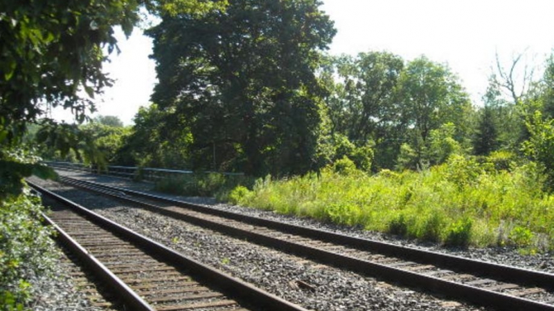 Трагедия на релсите:  Влак помете и уби на място глуха баба 