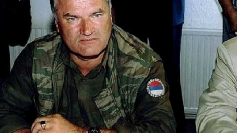 Ратко Младич: Искам в Русия!