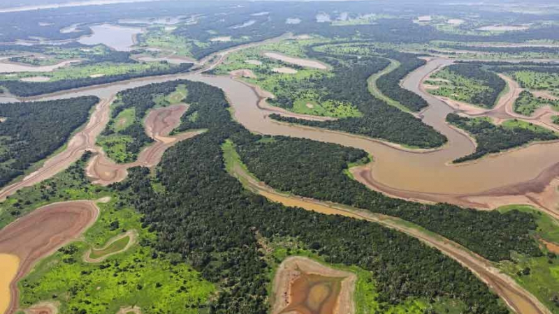 Учените в шах от неочаквано откритие за река Амазонка