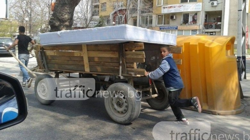 Пълен шаш! Впрегнаха деца в каруца в Пловдив (СНИМКИ)