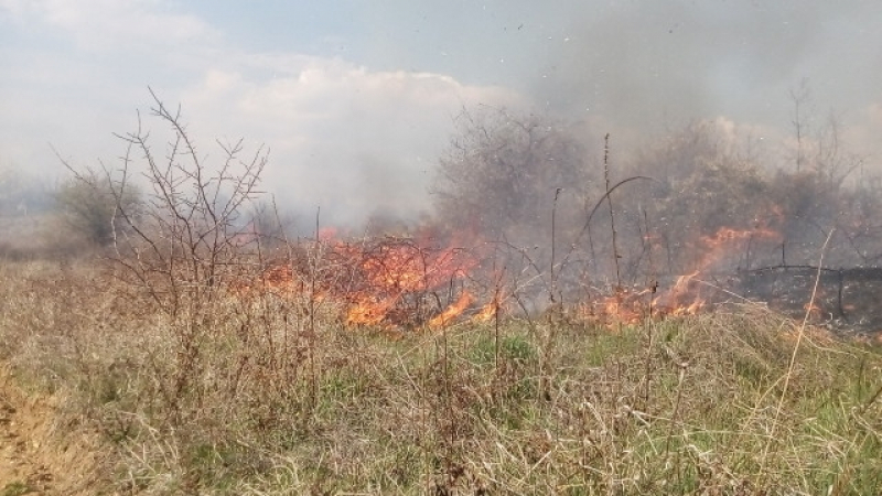 Огнен ад край Мурсалево: Бушува огромен пожар! Хората са в паника