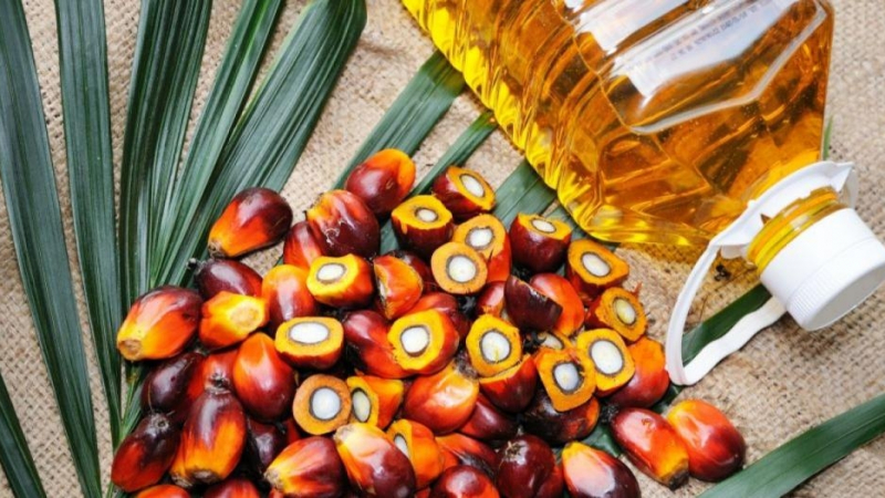 Стряскаща статистика! Българите консумират над 12 000 тона палмово масло за година