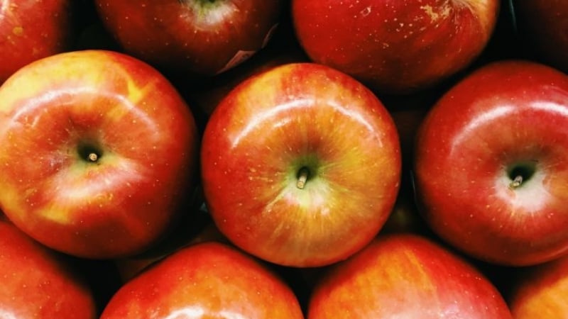 Ще останете в ступор, когато прочетете последствията от яденето на две ябълки дневно