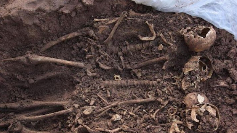 Археолози попаднаха на загадъчен масов гроб край Силистра от времето на Руско-турската война от 1877-1878! 