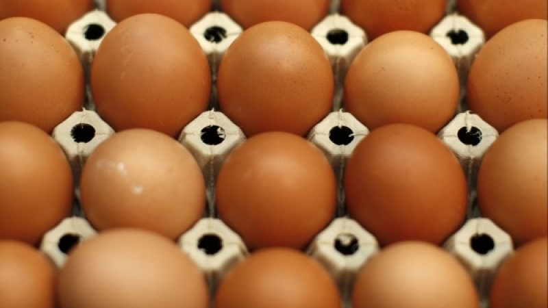 Евтини яйца от Полша и Румъния заляха пазара срещу Великден