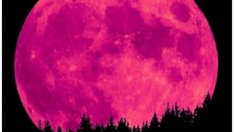 Астрономичен феномен: Розова Луна ще озари априлското небе