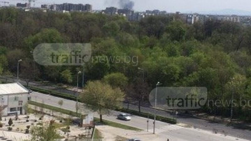 Голям пожар гори в Пловдив (СНИМКА/ВИДЕО)