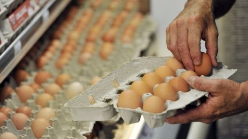 Доверете се на яйцата от щастливи кокошки! Вижте защо могат да бъдат толкова полезни