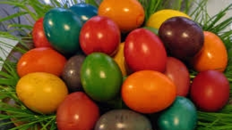 Преядохте ли с яйца на Великден? Ето какво ще се случи с тялото ви сега