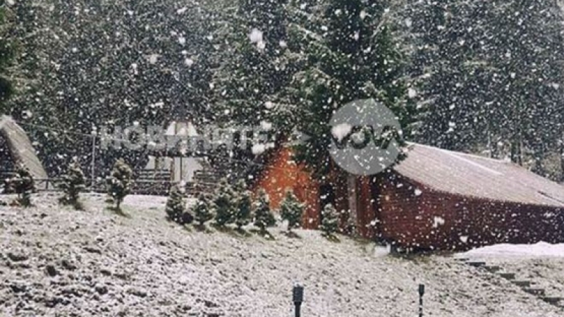 Сняг на парцали се сипе в Родопите (СНИМКА)
