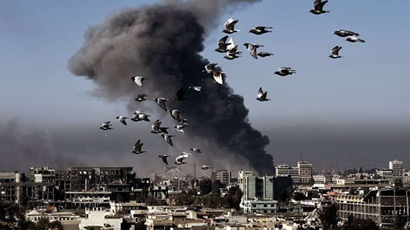 В Мосул е ликвидиран „главният снайперист” на "Ислямска държава" 