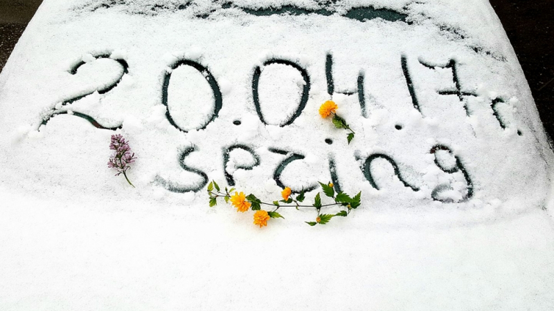 Сняг засипва София, вали на парцали, живакът на термометъра неумолимо се срива към нулата (СНИМКИ)