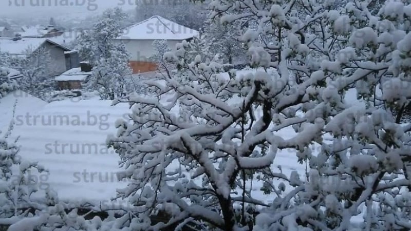 Снегът не спира и в Перник! Градът побеля (СНИМКИ)