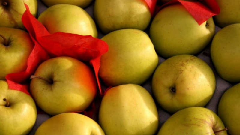 Цената на ябълките скочи с 10% за седмица