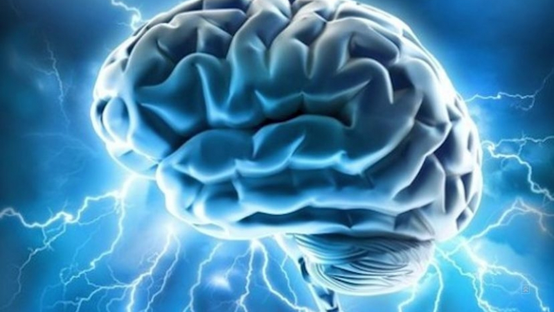 Учени със сензационно откритие, което може да спре смъртта на мозъка (ВИДЕО)