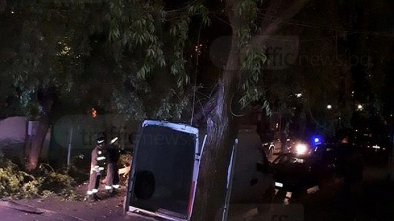 Огромна върба се строполи в Пловдив, като по чудо няма жертви (СНИМКИ)