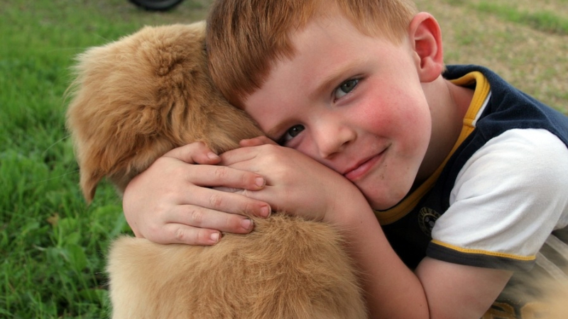 Експерти разкриха колко много помага отглеждането на куче в детството 
