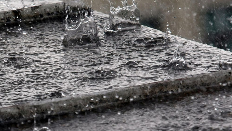 Дежурният синоптик в НИМХ в БАН плаши със студ и валежи в четвъртък (КАРТА)