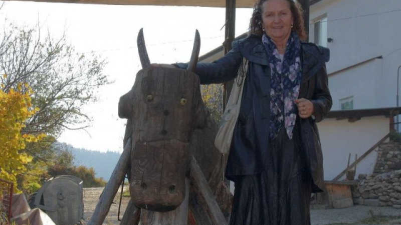 Пловдивчанка събра 764 фигури на... крави 