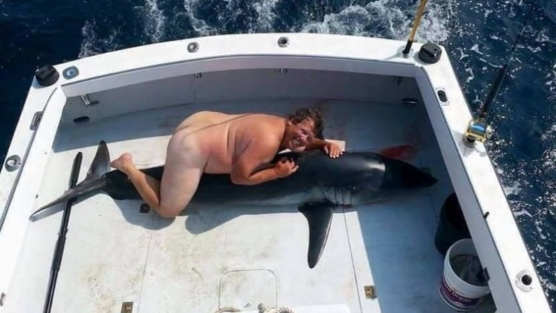 Издирват мъж, унизил мъртва акула - легнал гол върху нея (СНИМКА 18+)